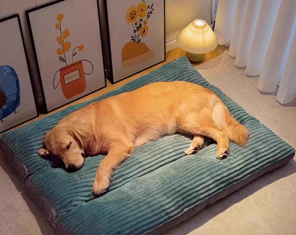 https://fulmo-img-server.com/dog-bed-lab/1729301303409_3dr582oj_ã¹ã¯ãªã¼ã³ã·ã§ãã 2024-10-19 102802.png